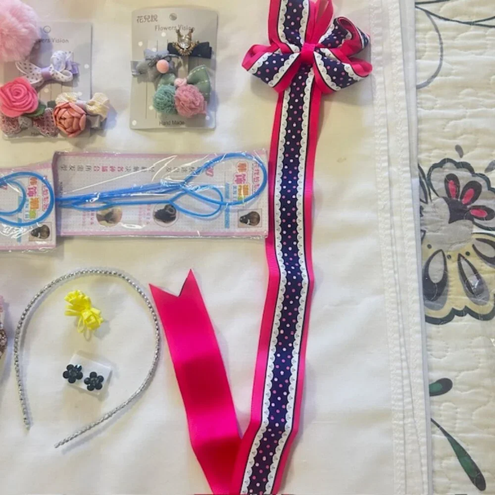 Girls Bits and Bobs Age 2 to 6 Hair Adornments Purse Pencil Bag etc read